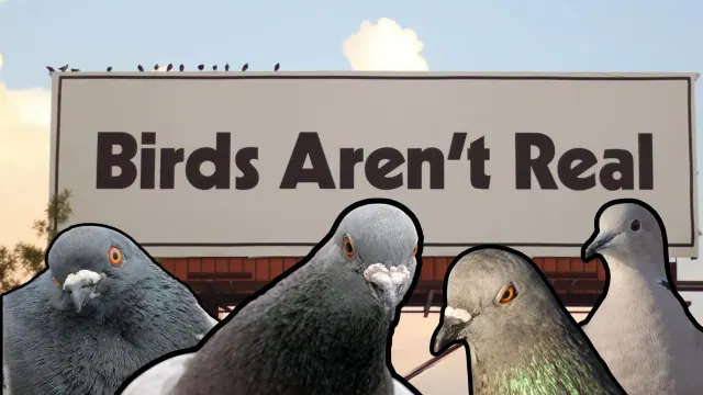 Composite illustration of pigeons in front of a Birds Aren't Real billboard