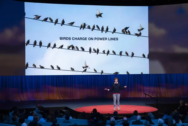 Peter McIndoe on a TED stage beneath a screen showing birds on wires