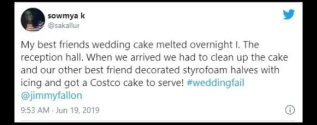 Archived Sowmya post describing a melted cake, iced Styrofoam display and a Costco serving cake