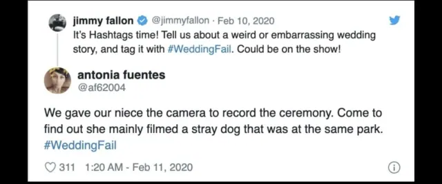 Archived Antonia Fuentes reply describing a niece filming a stray dog instead of most of the ceremony