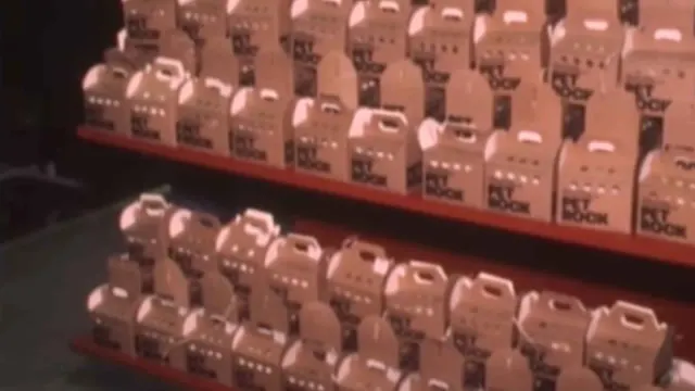 Rows of Pet Rock carriers in archival video footage