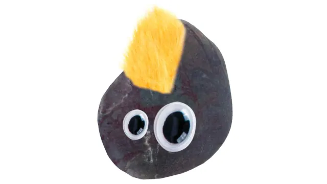 Later Pet Rock with googly eyes and yellow fuzzy hair