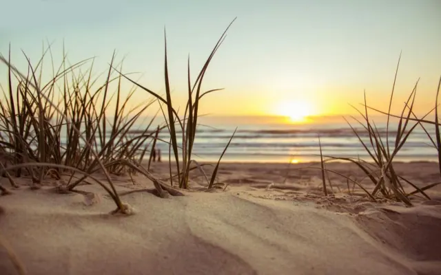 An illustrative beach at sunset