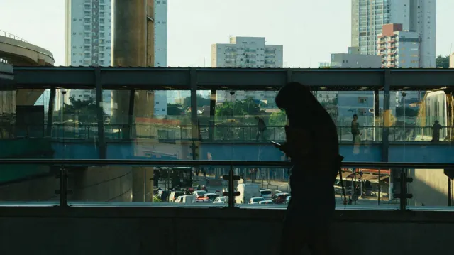 Person using a phone while seated by a window