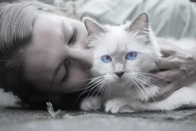 A person holding a cat, used as an illustration