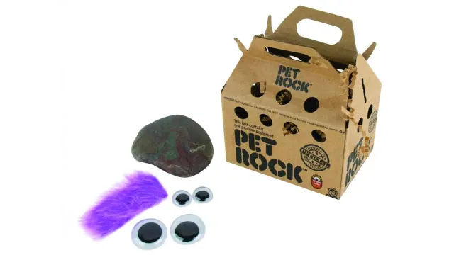 Later Pet Rock kit with carrier, googly eyes and purple hair