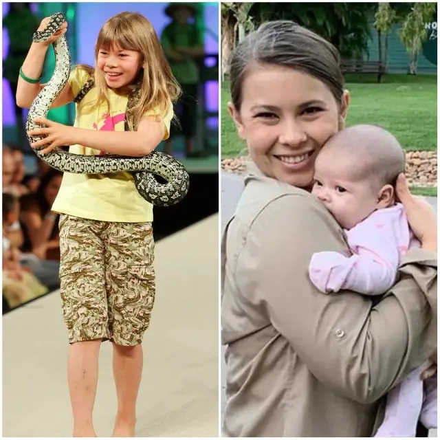 Bindi Irwin presenting wildlife as a child beside a later photograph holding a baby
