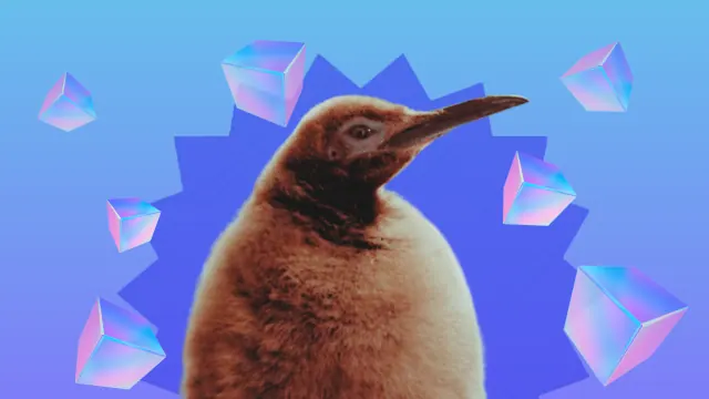 Image of Pesto the penguin against a blue background with falling ice cubes