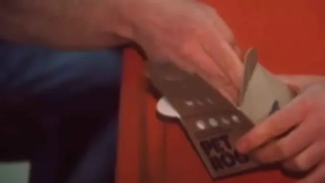 Archival video still of a Pet Rock carrier being packed