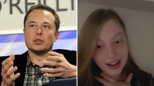 Composite of Elon Musk at an event and Vivian Jenna Wilson in an archived social-media image