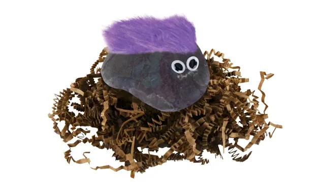 Later Pet Rock with purple fuzzy hair in paper nesting